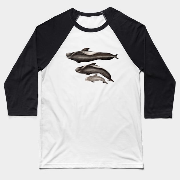 Short-finned pilot whale Baseball T-Shirt by chloeyzoard